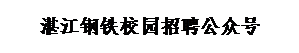 文本框:湛江钢铁校园招聘公众号